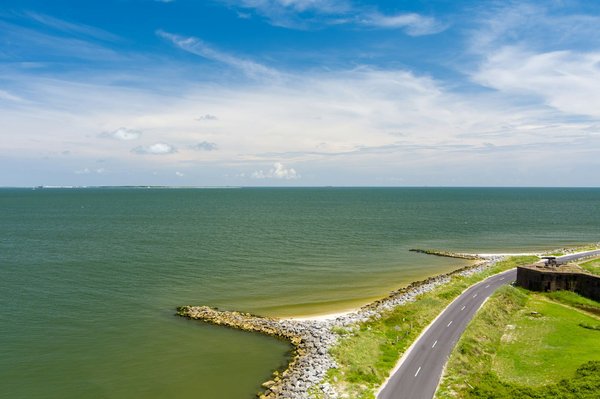 Quels sont les meilleurs spots pour une plongée avec les dauphins en Floride ?