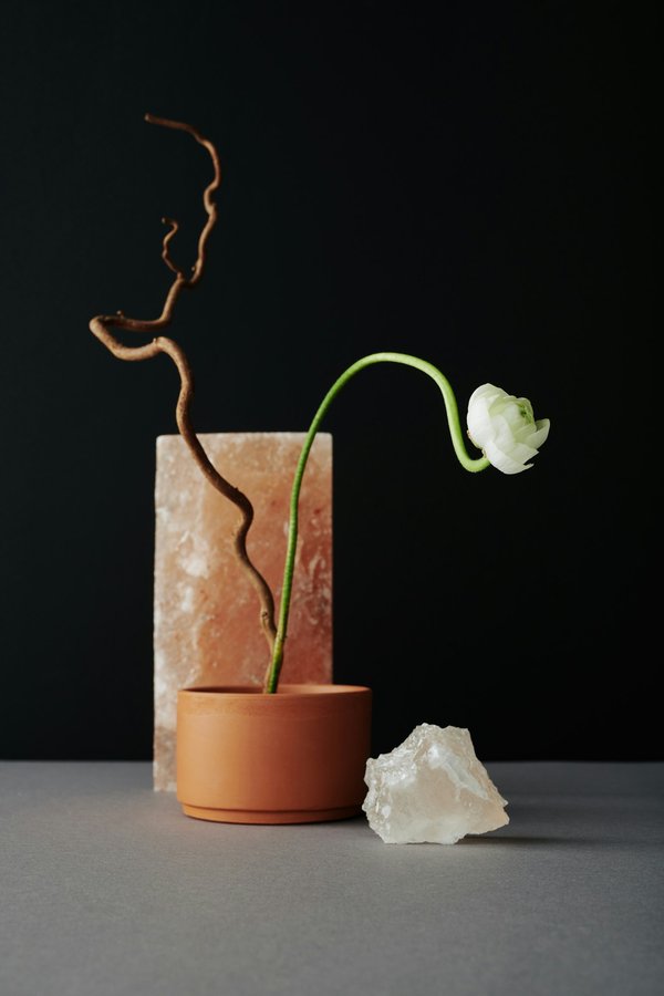 Où découvrir les traditions de l'ikebana, l'art floral japonais : ateliers et écoles recommandés ?